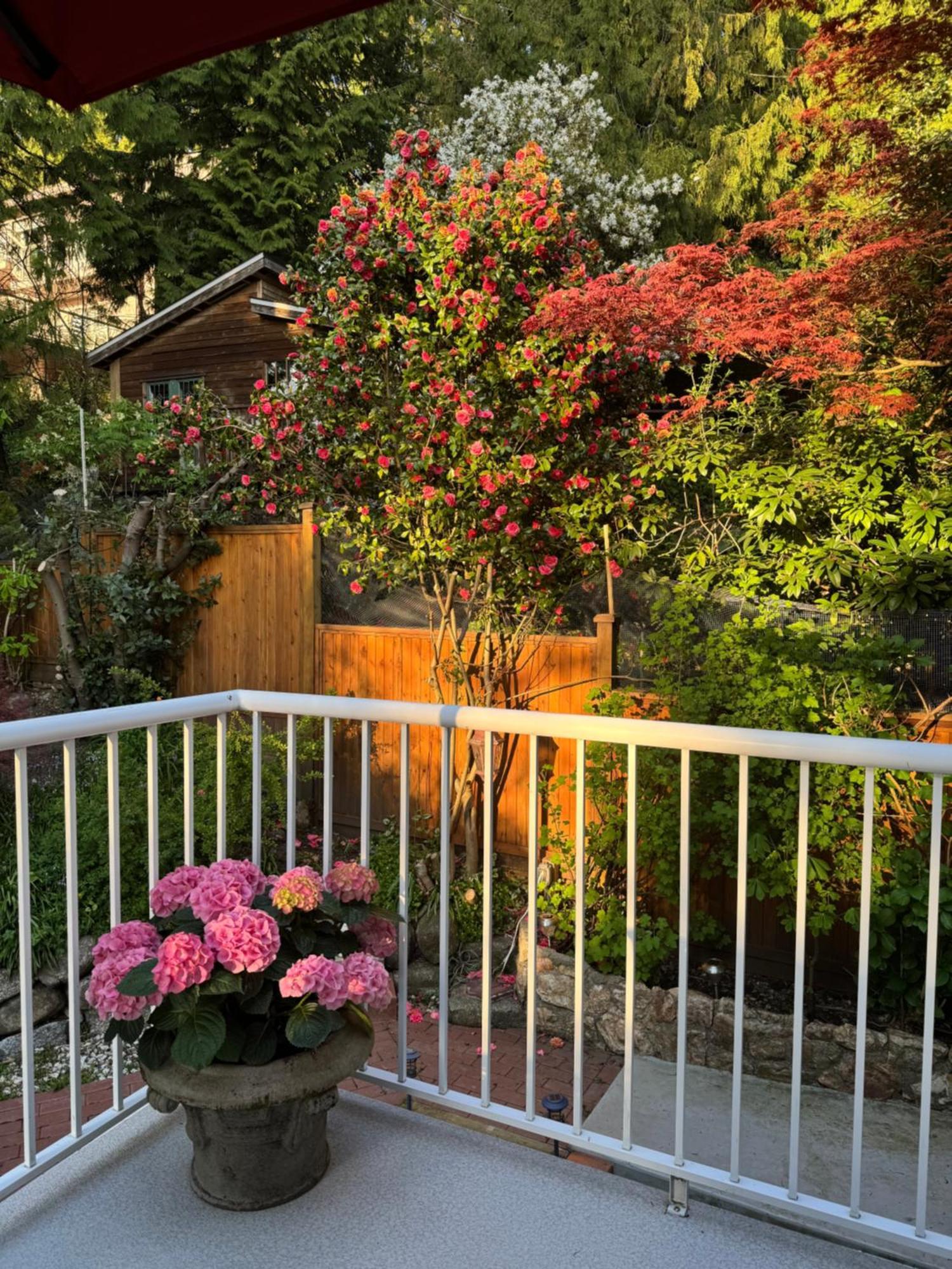 Beautiful Modern Suite North Vancouver Luaran gambar